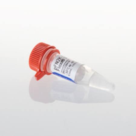 Buy pFN2K (GST) Flexi(R) Vector, 20ug in NZ.