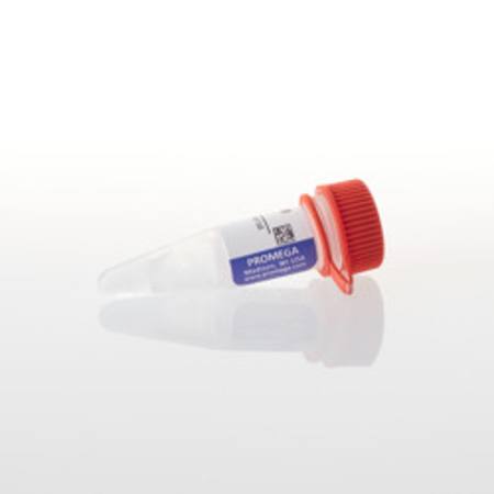 Buy pF4K CMV Flexi(R) Vector, 20ug in NZ.