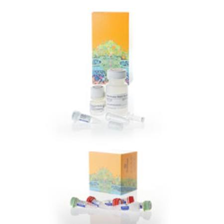 Buy Flexi(R) System, Entry/ Transfer in NZ.