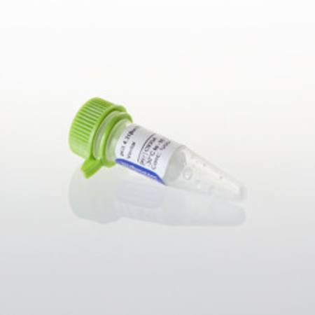 Buy pGL4.31[luc2P/Gal4UAS/Hygro] Vector in NZ. 