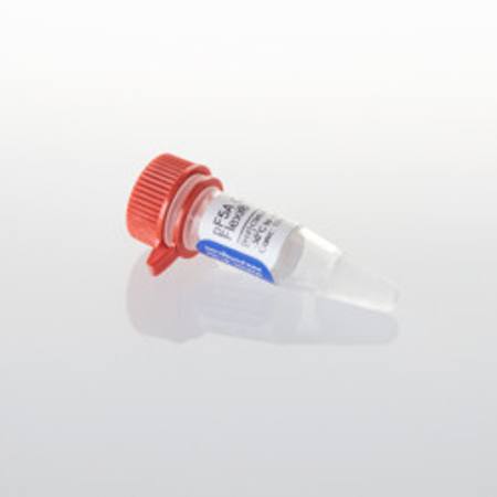 Buy pF5A CMV-neo Flexi(R) Vector, 20ug in NZ.