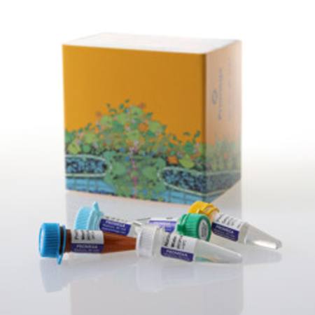 ProDye(TM) Terminator Sequencing System, 24rxn