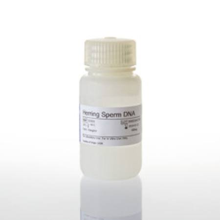 Buy Herring Sperm DNA, 500mg in NZ. 