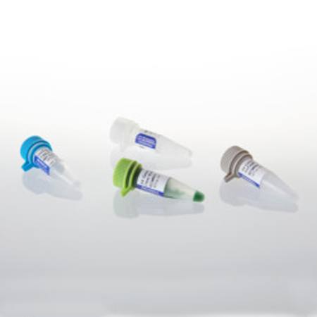 Buy GoTaq(R) MDx Taq Polymerase, 100u in NZ.