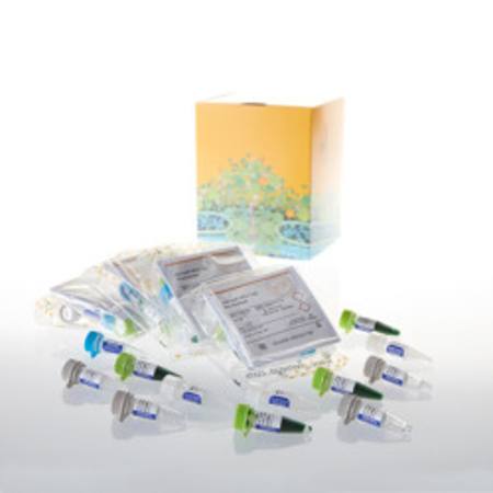 Buy GoTaq(R) MDx Taq Polymerase, 2,500u in NZ.