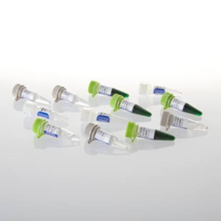 Buy GoTaq(R) MDx Hot Start Polymerase, 500u in NZ. 
