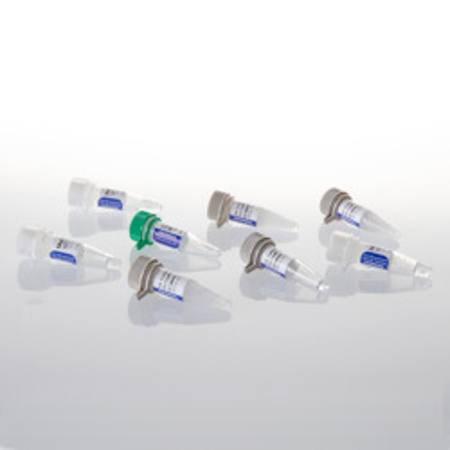 Buy GoTaq(R) MDx Hot Start Polymerase, Glycerol-free, 500u in NZ.
