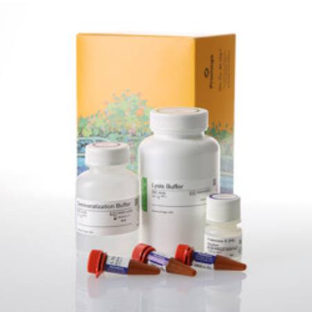 Bone DNA Extraction Kit, 100preps