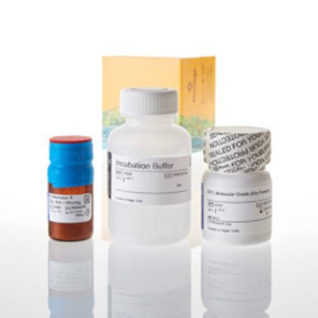 Buy Tissue and Hair Extraction Kit (for use with DNA IQ(TM)) 100 in NZ. 