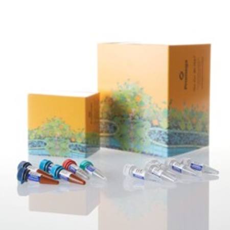 Buy VersaPlex(R) 27PY System, 200rxn in NZ.