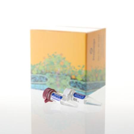 Buy PunchSolution(TM) Kit, 100 preps in NZ. 