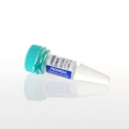 Buy 2800M Control DNA, 0.25ng/ul, 500ul in NZ. 