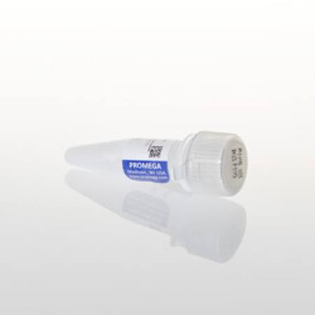 Gold ST-R 10X Buffer, 1.2ml
