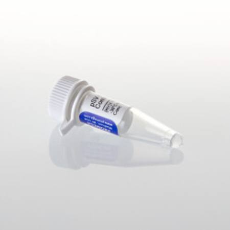 Buy pSV-B-Gal Control, 20ug in NZ.