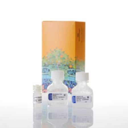 Buy ProFection(R) Mammalian Transfection Sys.-Calcium Phosphate in NZ. 