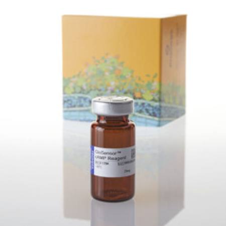 Buy GloSensor(TM) cAMP Reagent 25mg in NZ.