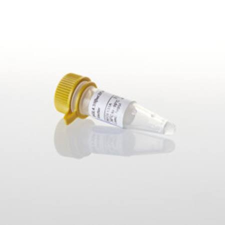 Buy pGL4.50(luc2/CMV/Hygro) Vector 20ug in NZ.