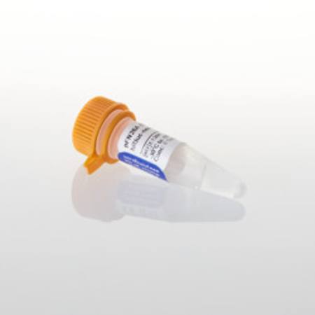 Buy pFN26A(BIND) hRluc-neo Flexi(R) Vector, 20ug in NZ.