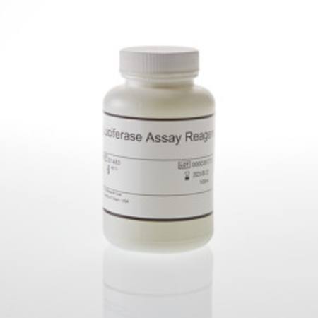 Buy Luciferase Assay Reagent, 100ml in NZ. 