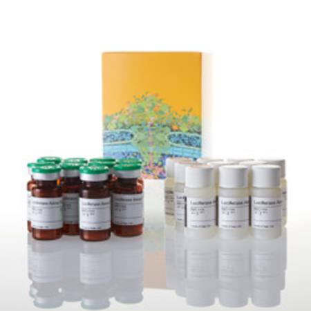 Buy Luciferase Assay System, 10-pack in NZ.