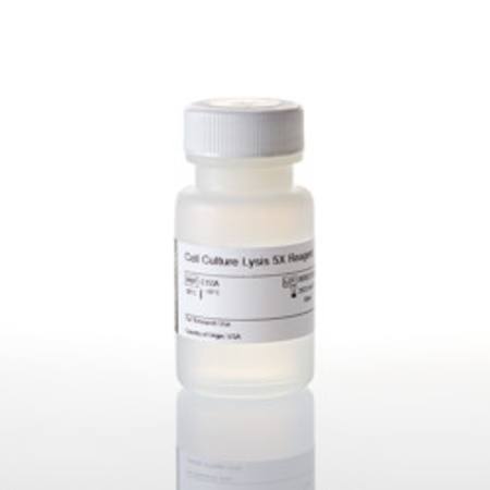 Buy Luciferase Cell Culture Lysis 5X Reagent, 30ml in NZ.