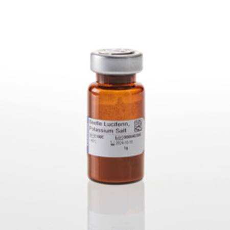 Buy Beetle Luciferin, Potassium Salt, 1gm in NZ. 