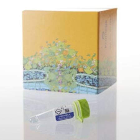 Buy QuantiLum(R) Recombinant Luciferase, 1mg in NZ.