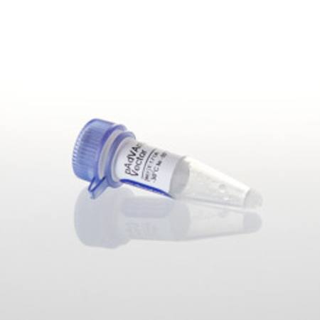 pAdVAntage(TM) Vector, 20ug