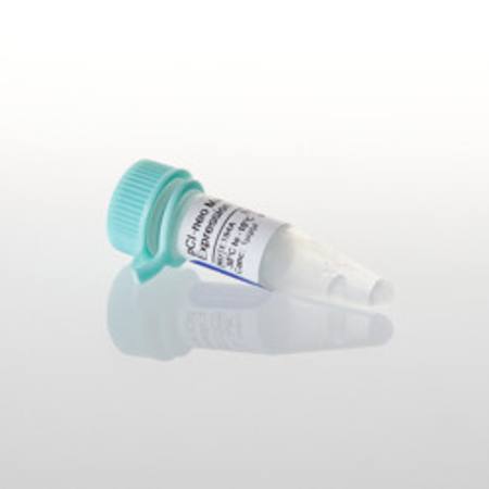 Buy pCI-neo Mammalian Expression Vector, 20ug in NZ.