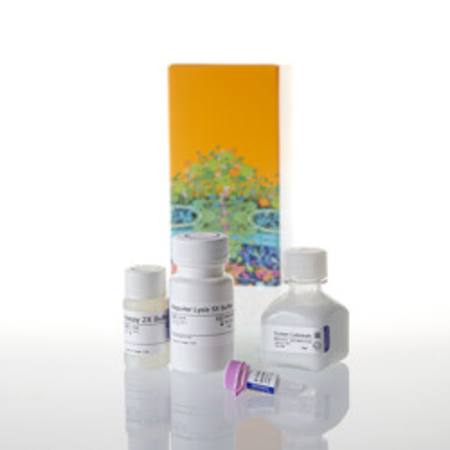 Buy Beta-Galactosidase Enzyme Assay System in NZ.