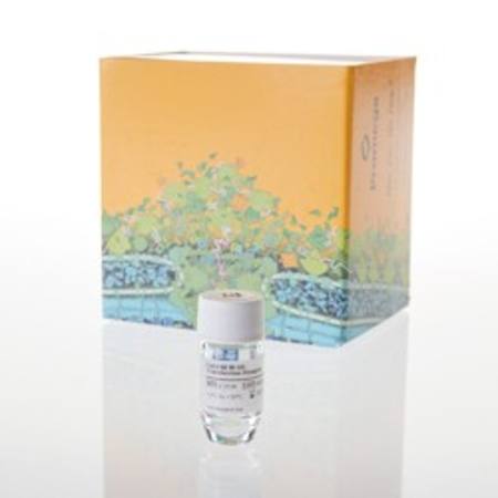 Buy FuGENE(R) HD Transfection Reagent, 1ml in NZ.