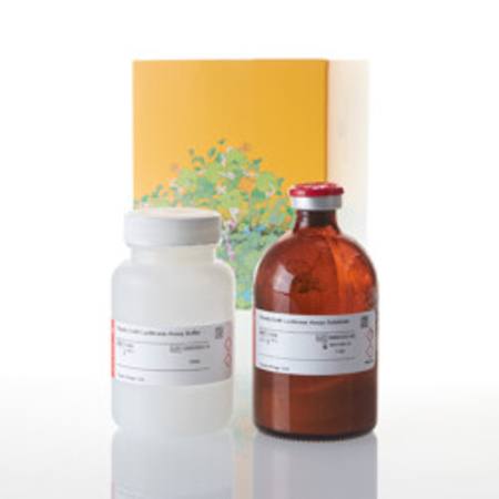 Buy Steady-Glo(R) Luciferase Assay System, 100ml in NZ.