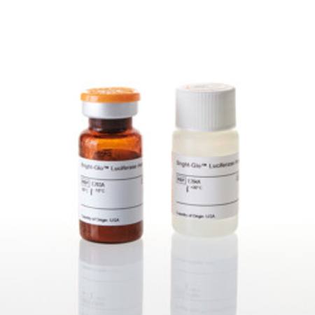 Buy Bright-Glo(TM) Luciferase Assay System, 10ml in NZ.
