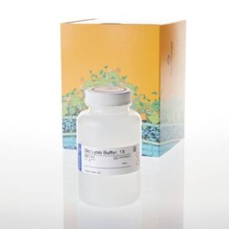 Buy Glo Lysis Buffer, 1X, 100ml in NZ.