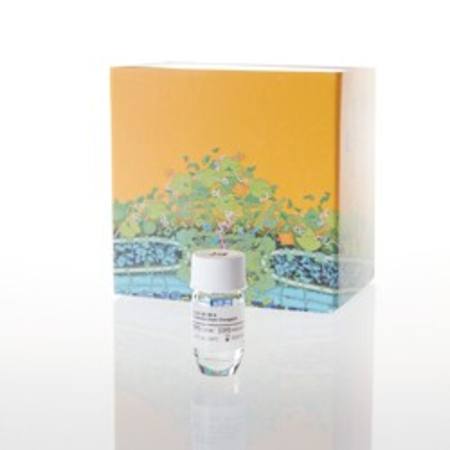 Buy FuGENE(R) 6 Transfection Reagent, 1ml in NZ.