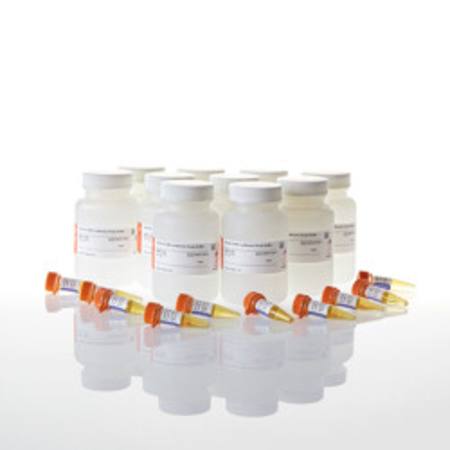 Buy Renilla-Glo(R) Luciferase Assay System, 10 X 100ml in NZ.