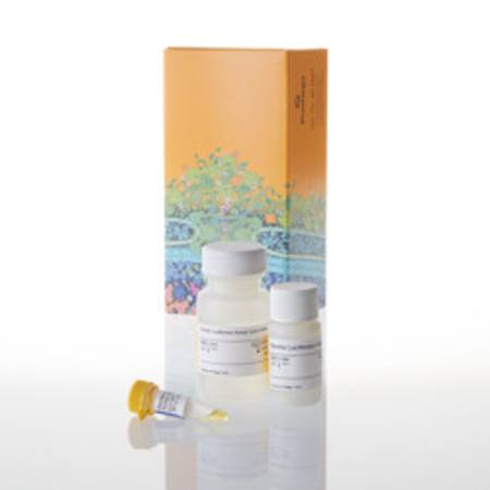 Buy Renilla Luciferase Assay System, 100 Assays in NZ.