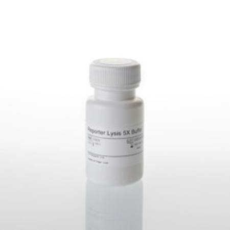 Buy Reporter Lysis 5X Buffer, 30ml in NZ. 