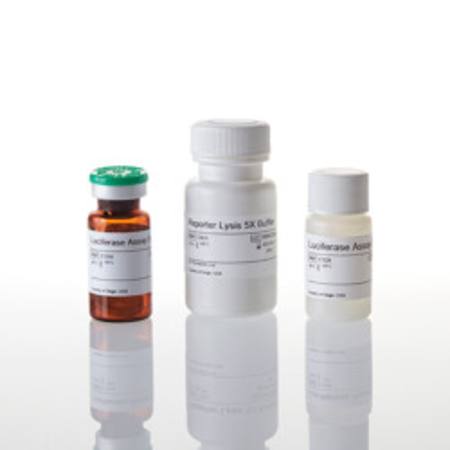 Buy Luciferase Assay System with Reporter Lysis Buffer in NZ.
