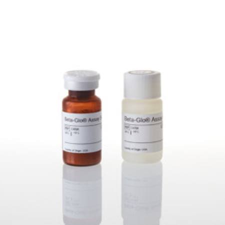 Buy Beta-Glo(R) Assay System, 10ml in NZ. 
