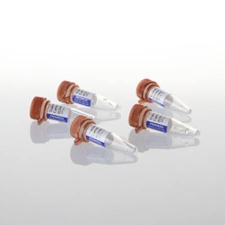 Buy Transfection Carrier DNA in NZ.