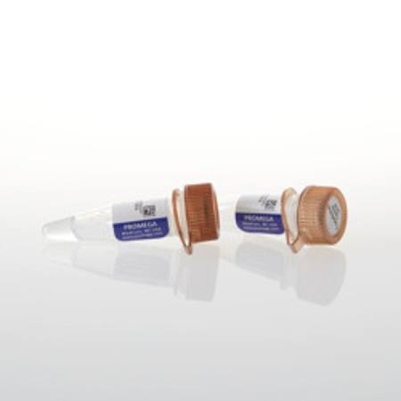 Buy Transfection Carrier DNA in NZ.