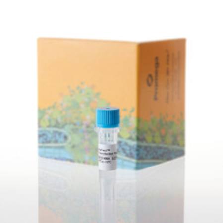 Buy ViaFect(TM) Transfection Reagent, 0.75ml in NZ. 
