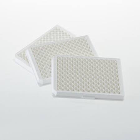 Buy MICROPLATE, 96 WELL, STERILE, 10/PK in NZ. 