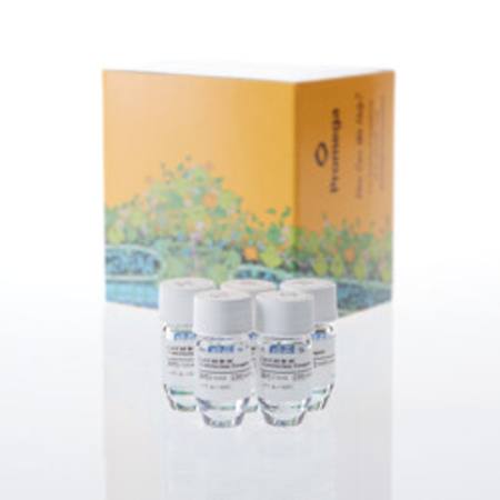 Buy FuGENE(R) 4K Transfection Reagent, 5 x 1ml in NZ. 