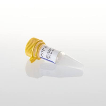 Buy rUTP (100mM), 400ul in NZ. 