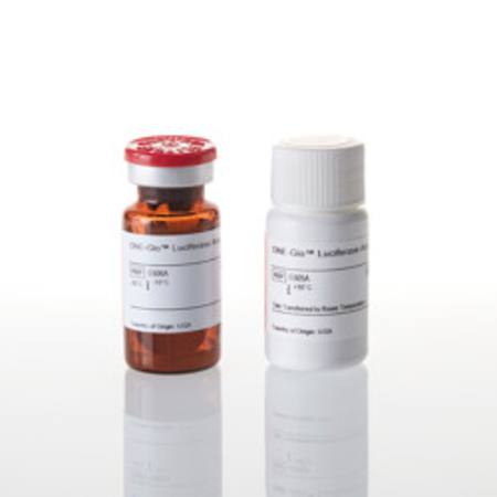 Buy ONE-Glo(TM) Luciferase Assay System, 10ml in NZ. 