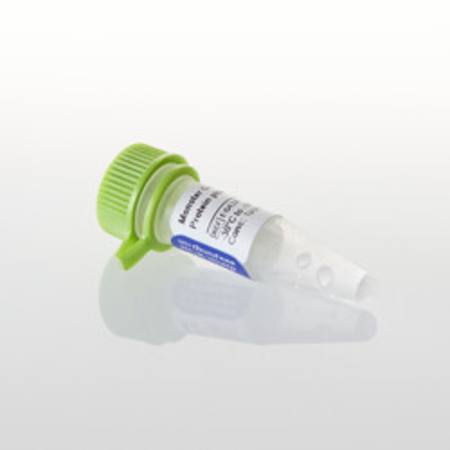 Buy Monster Green(R) Fluorescent Protein phMGFP Vector, 20ug in NZ.