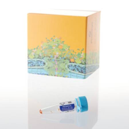 Buy ViviRen(TM) Live Cell Substrate, 0.37mg in NZ.