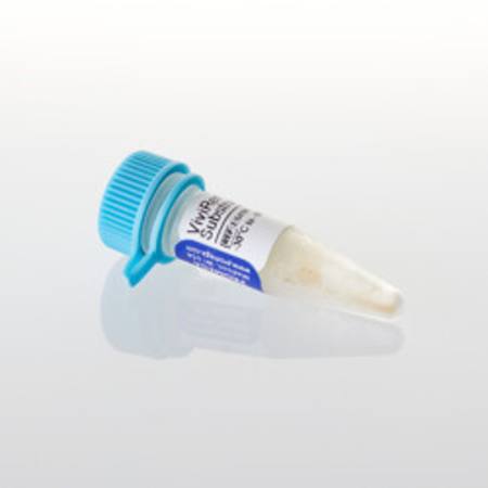 Buy ViviRen(TM) Live Cell Substrate, 3.7mg in NZ.